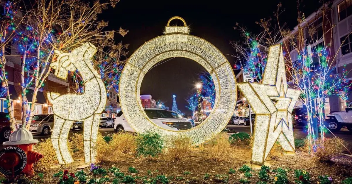 Reindeer, ornament, and star display